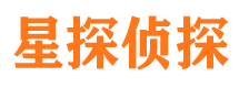 尼玛市侦探调查公司